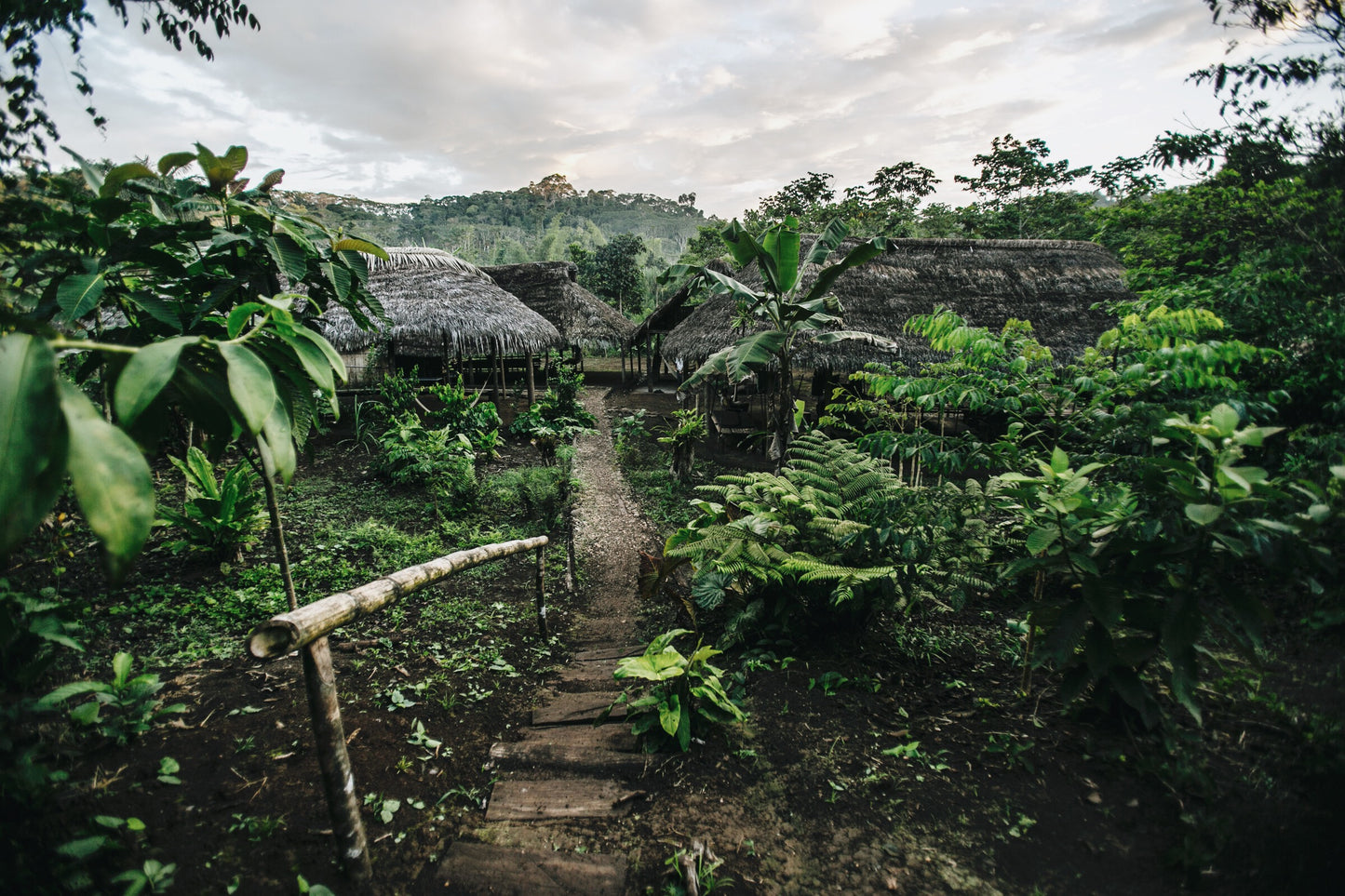 A journey into the Ecuadorian Amazon