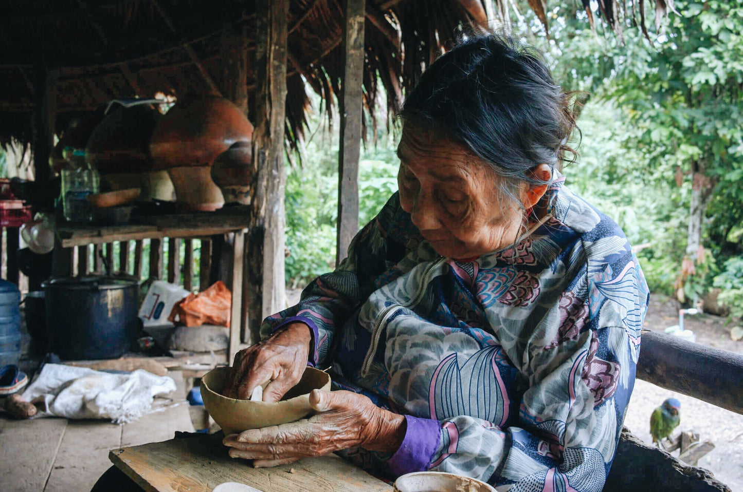 A journey into the Ecuadorian Amazon