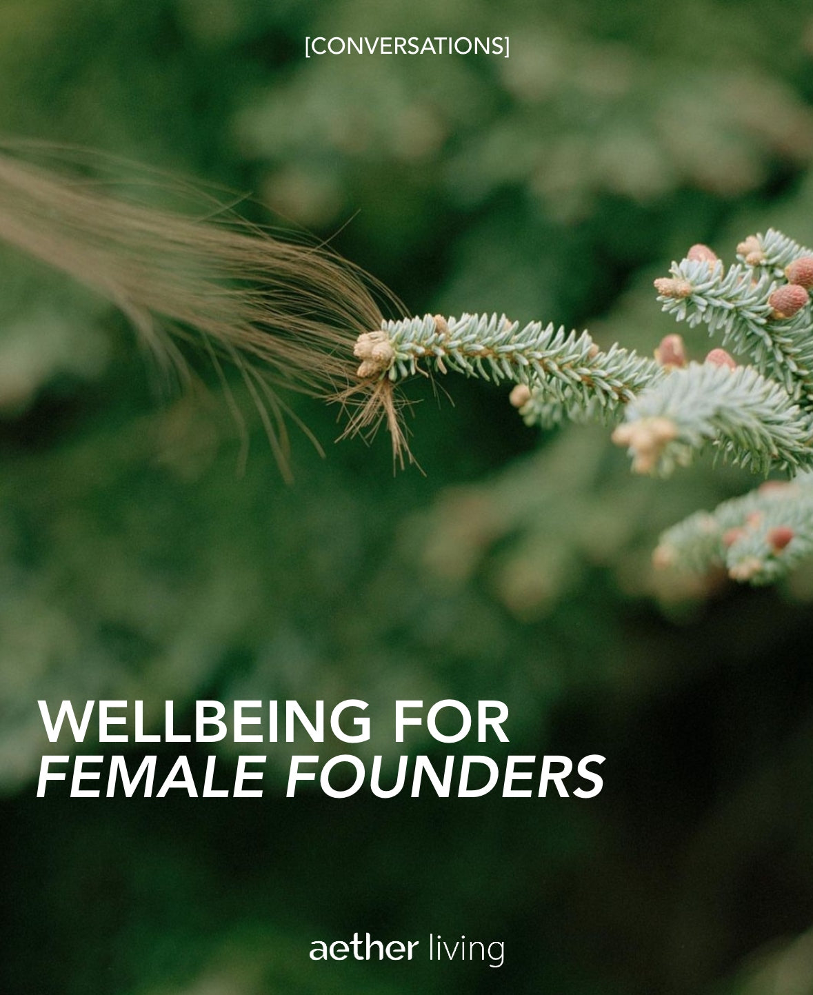 
                  
                    Women’s Day Special: Wellbeing for Female Founders
                  
                